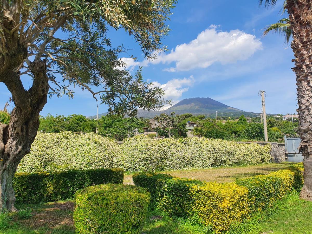 Stone Garden B&B Ercolano Exterior foto
